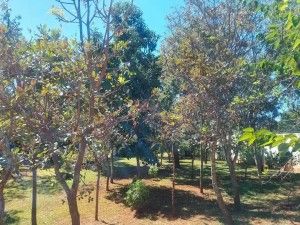 7 Bedroom House for Sale in Gletwin Park 