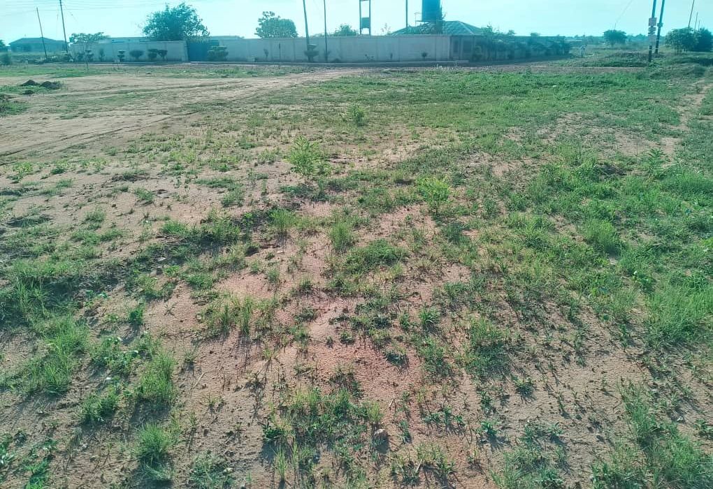 7 Hectare flat level land in Norton 