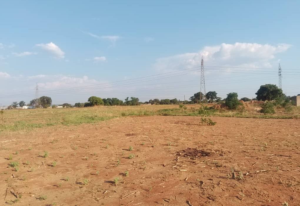 7 Hectare flat level land in Norton 