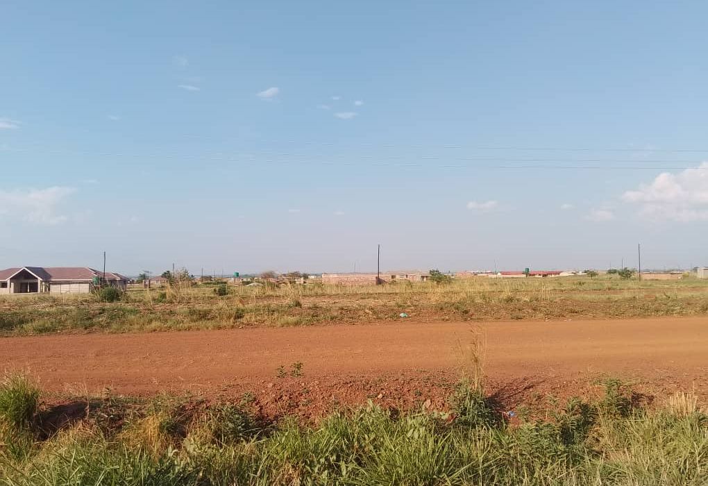 7 Hectare flat level land in Norton 