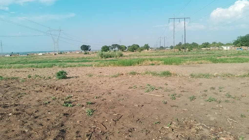 7 Hectare flat level land in Norton 