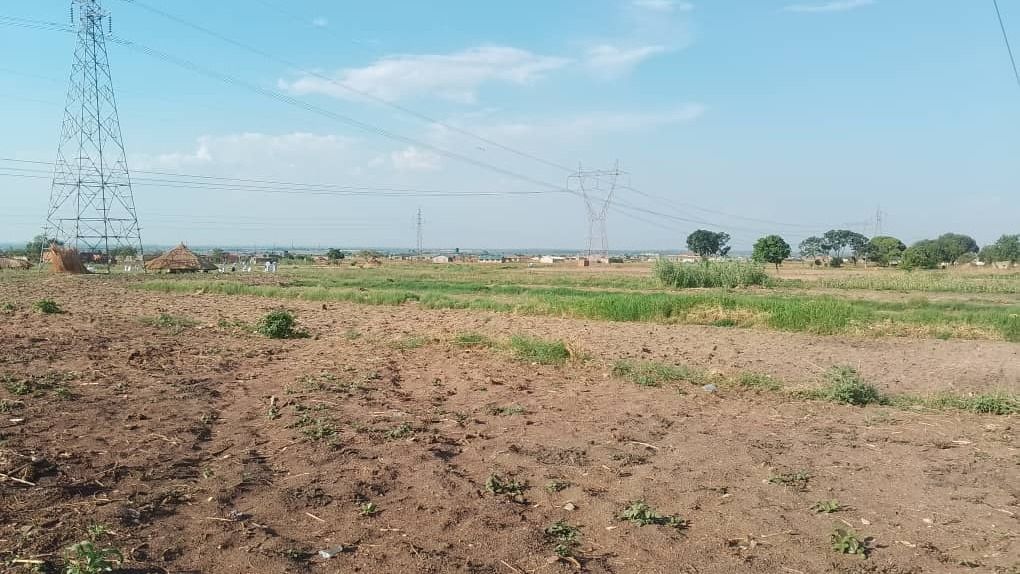 7 Hectare flat level land in Norton 