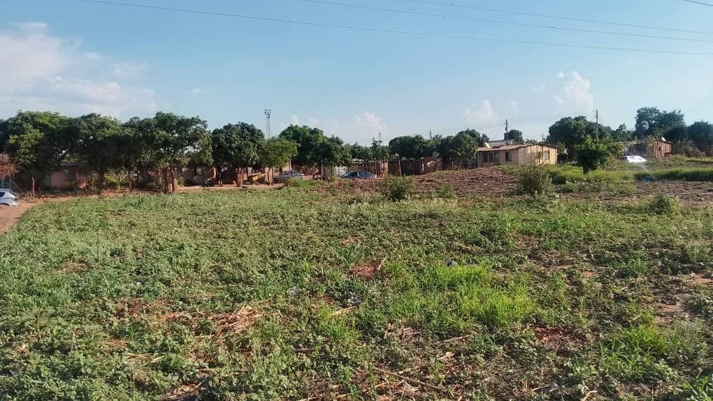 7 Hectare flat level land in Norton 