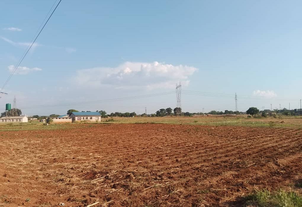 7 Hectare flat level land in Norton 