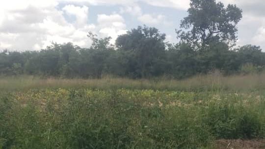AGRIC PLOT FOR SALE IN RUWA