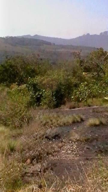 Banana Farm For Sale in Burma Valley, Bvumba 