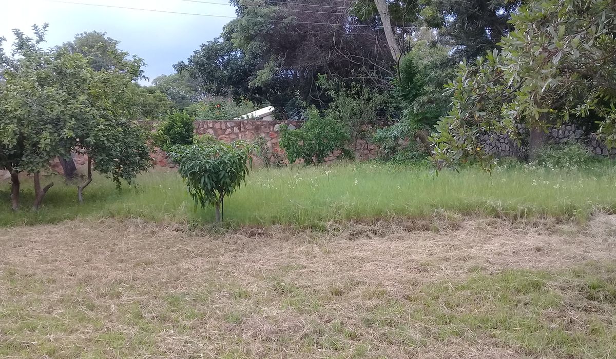 Burnside Bulawayo house