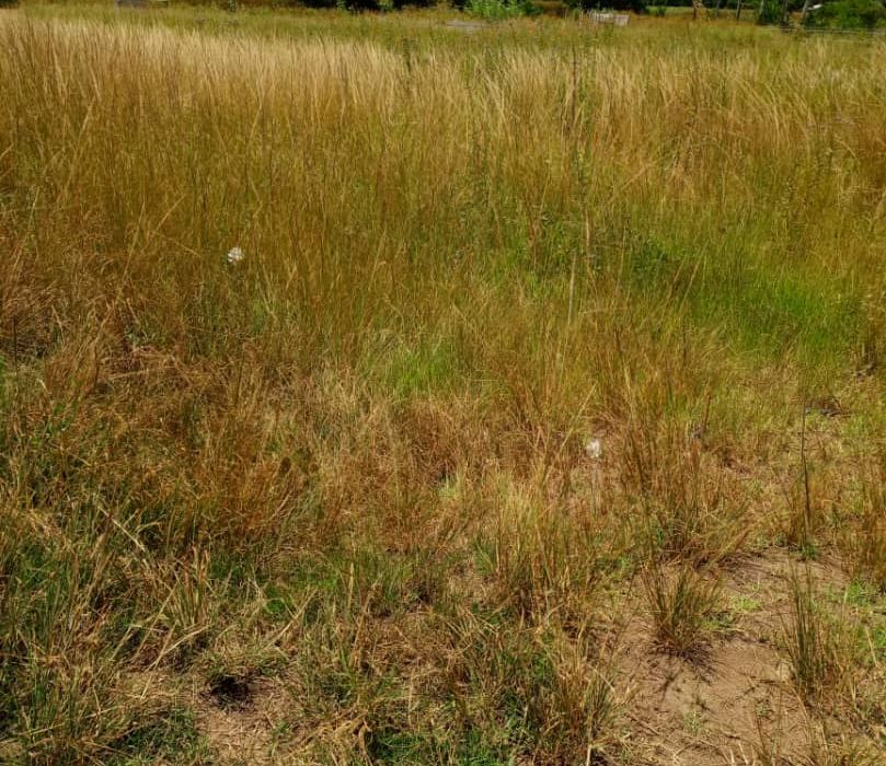 Cluster Stand for Sale in Greendale 