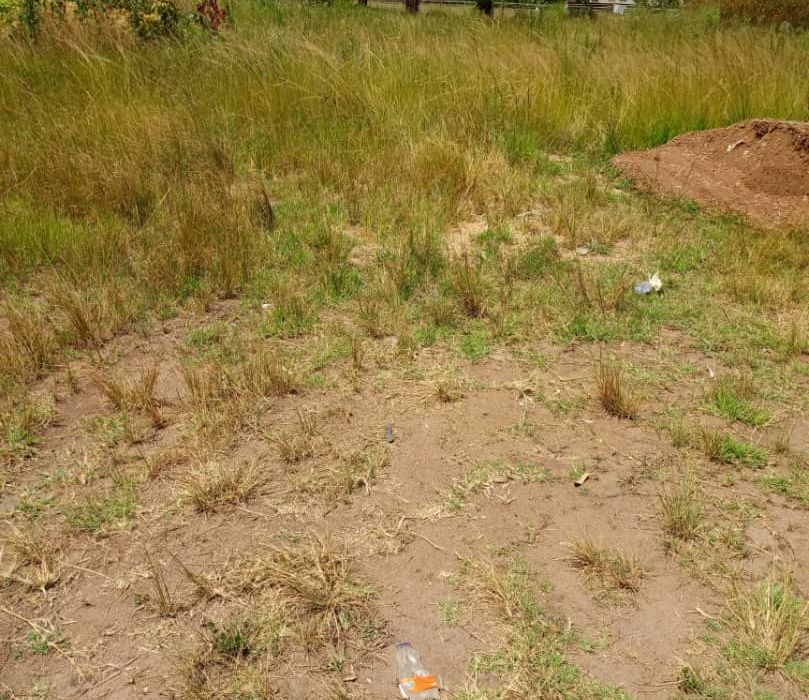 Cluster Stand for Sale in Greendale 