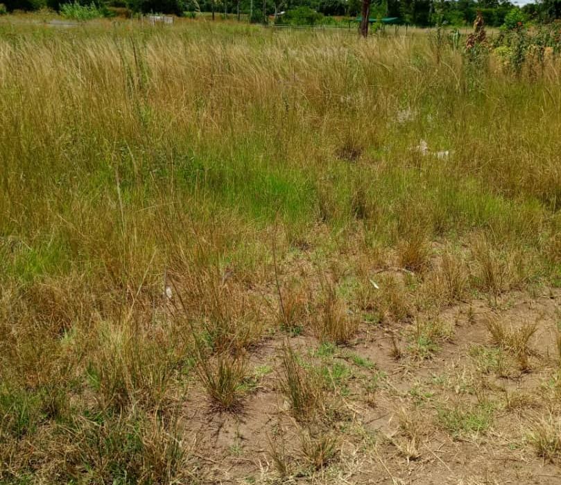 Cluster Stand for Sale in Greendale 