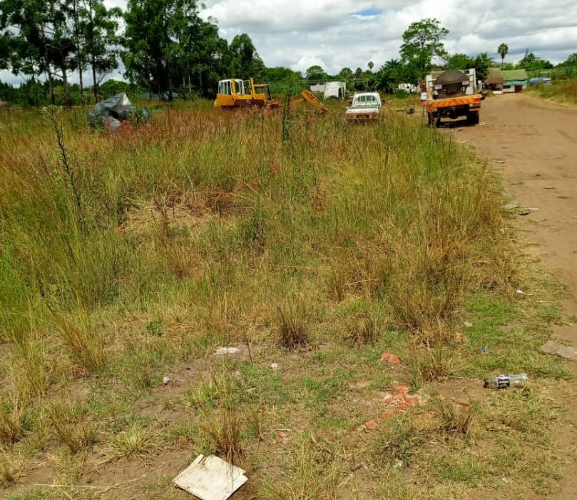 Cluster Stand for Sale in Greendale 