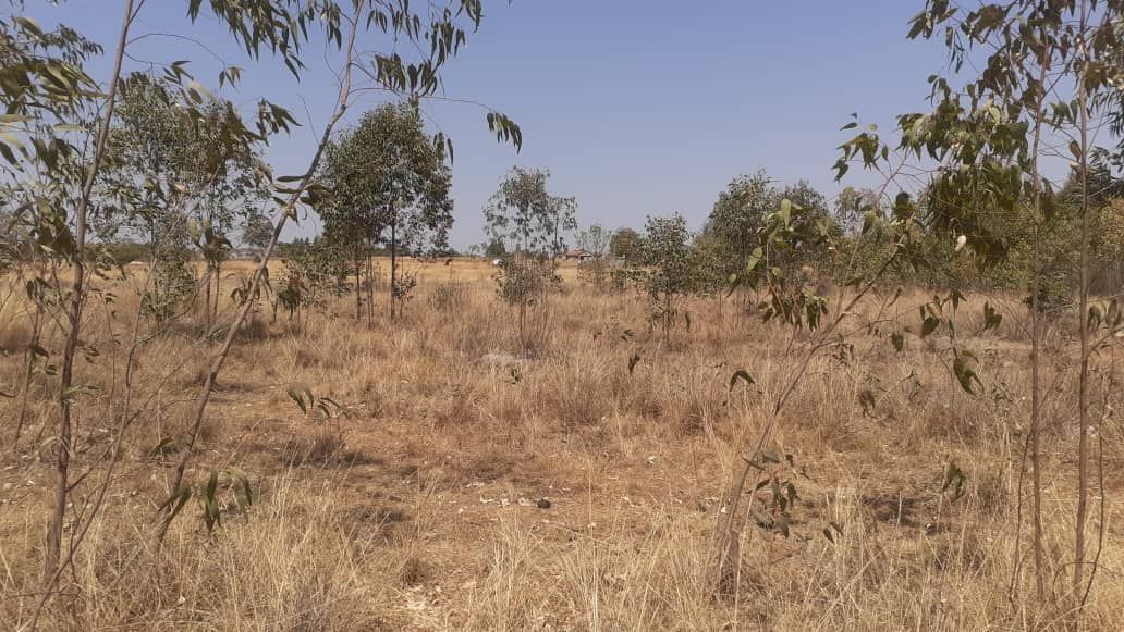 Commercial Property for Sale in Arcturus, featuring an Incomplete Homstead 