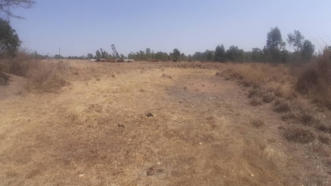 Commercial Property for Sale in Arcturus, featuring an Incomplete Homstead 