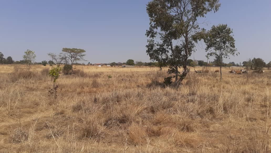 Commercial Property for Sale in Arcturus, featuring an Incomplete Homstead 