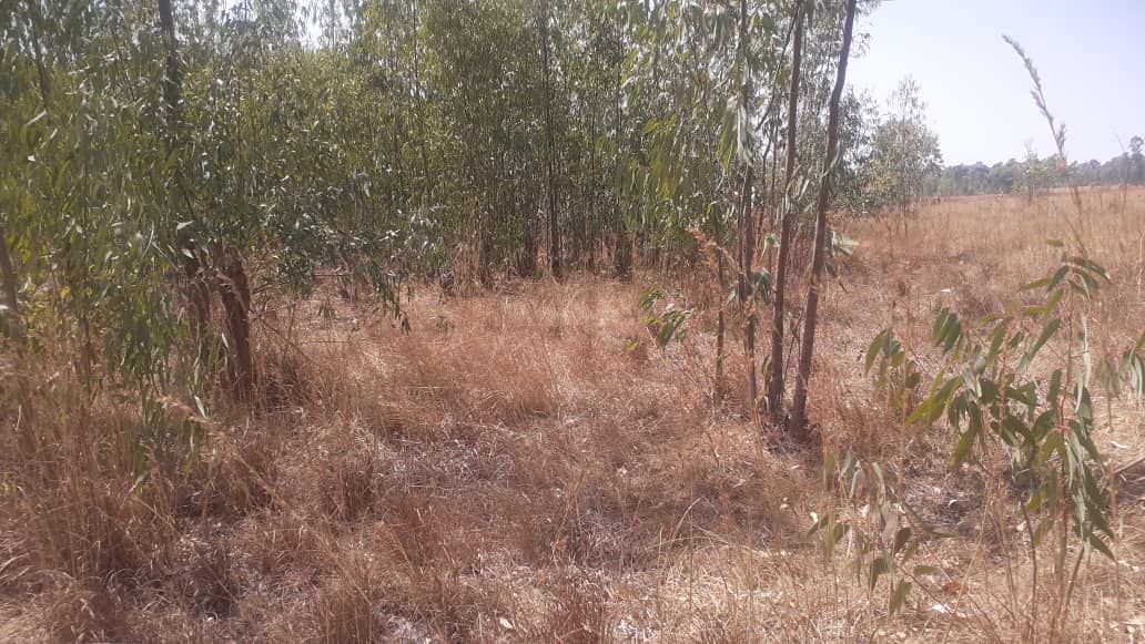 Commercial Property for Sale in Arcturus, featuring an Incomplete Homstead 