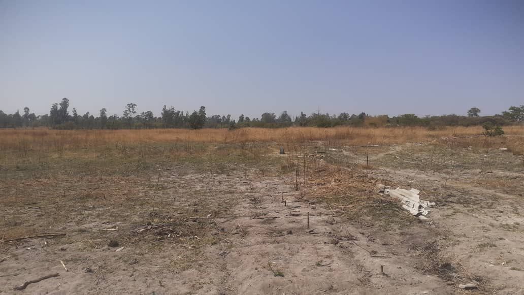 Commercial Property for Sale in Arcturus, featuring an Incomplete Homstead 