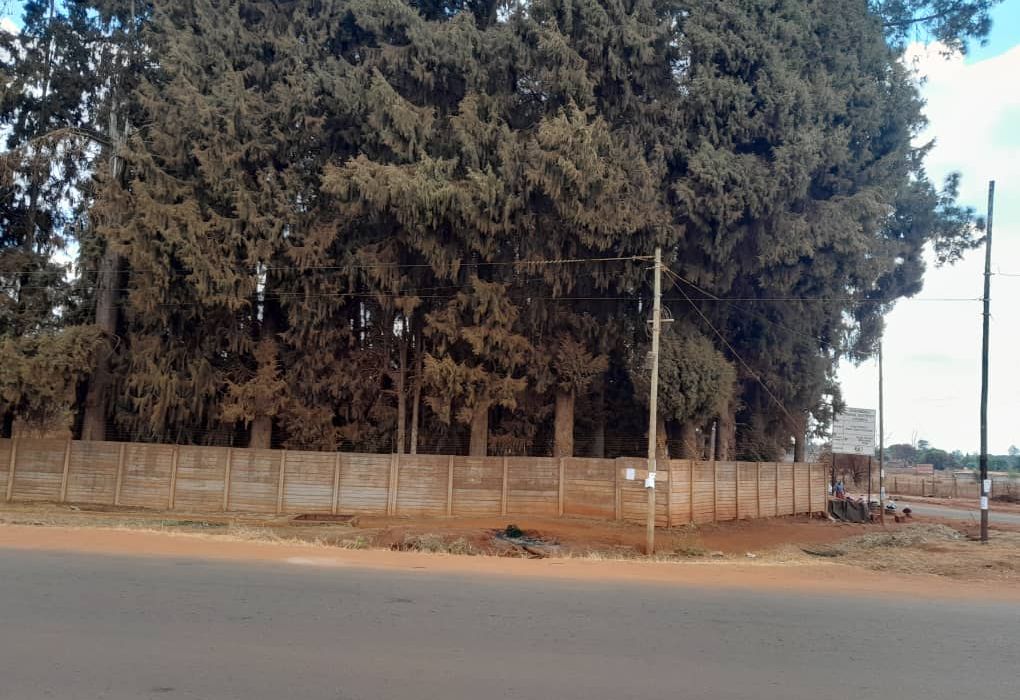 2 Stands for Sale in Borrowdale Country Estate 