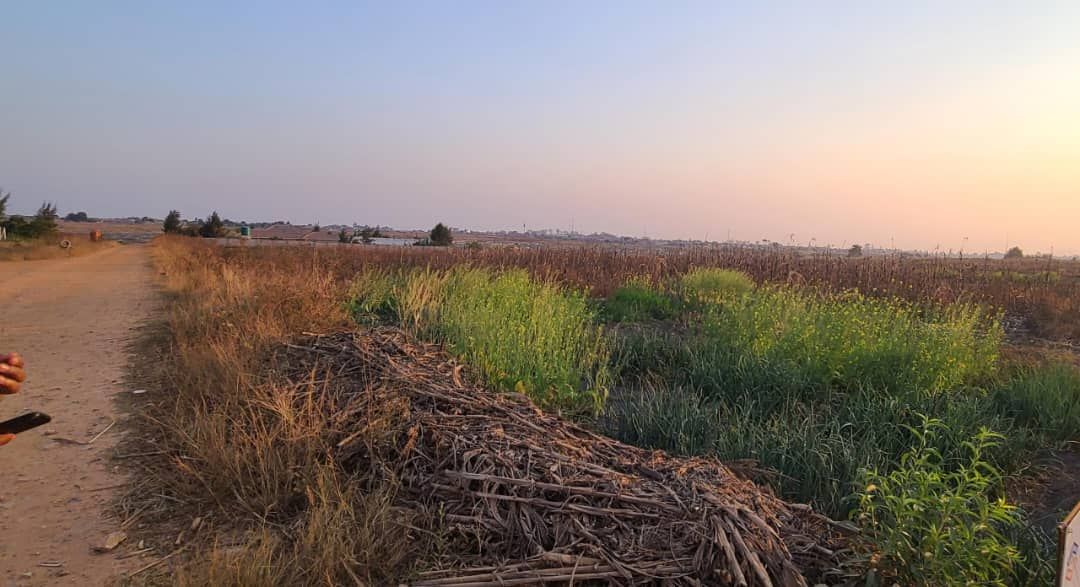 Commercial Stand for Sale in Ruwa 