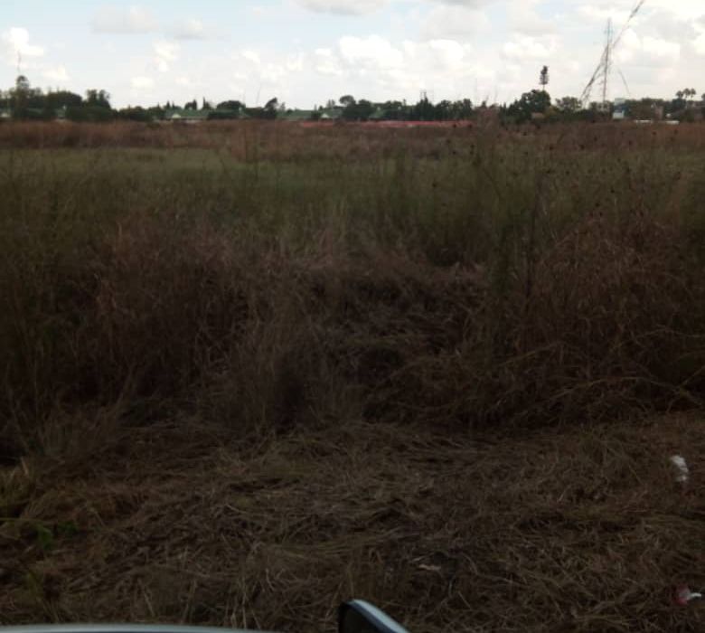 Commercial Stand in Eastlea North for Sale 