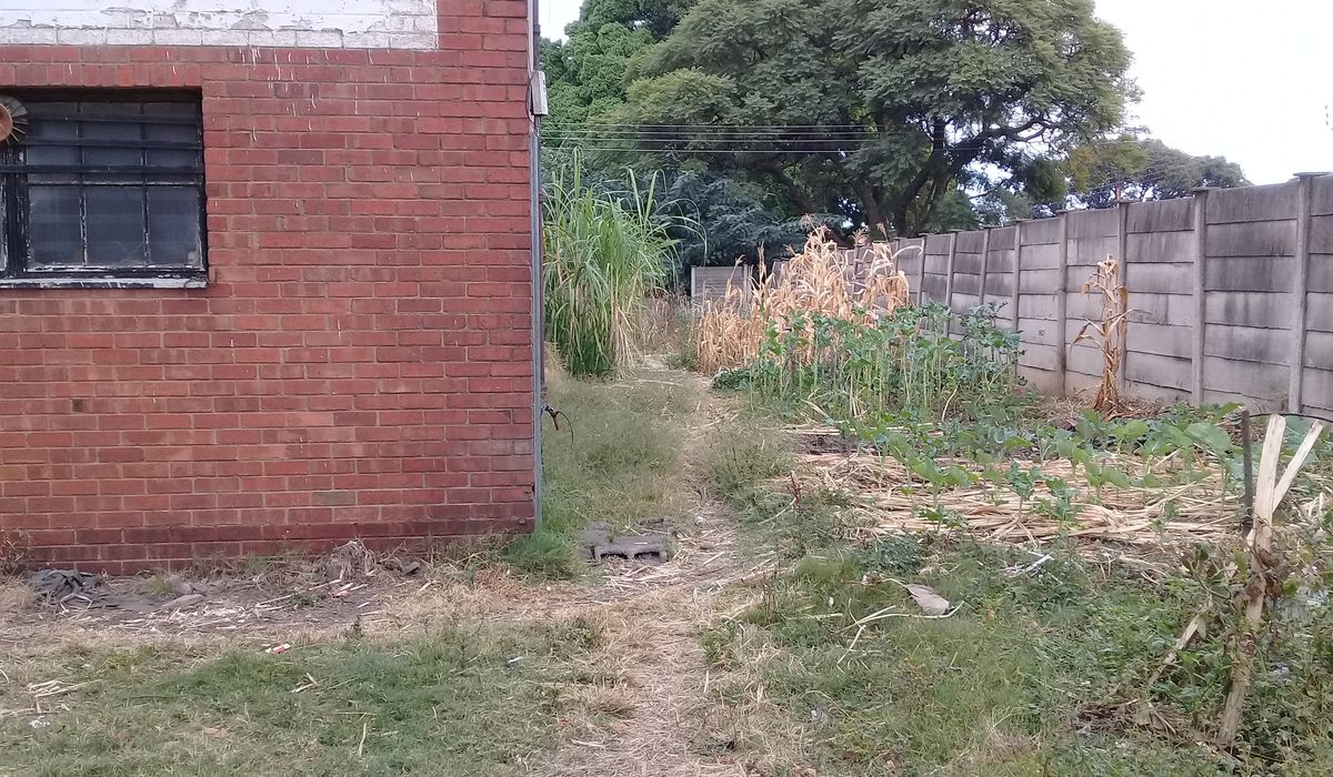 Donnington Bulawayo on 2 acres 270