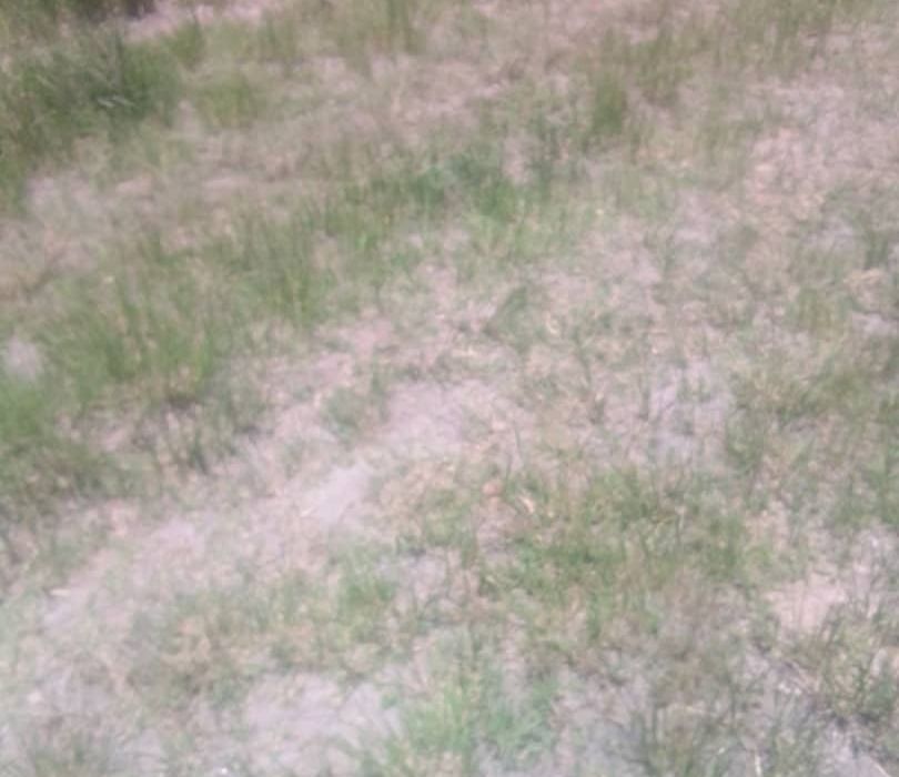 Farm for Sale in Chivhu