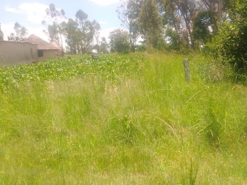 Farm for Sale in Chivhu