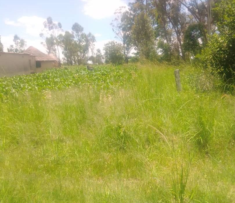 Farm for Sale in Chivhu