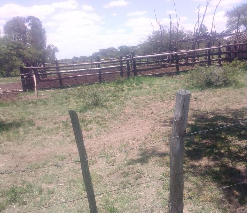 Farm for Sale in Chivhu