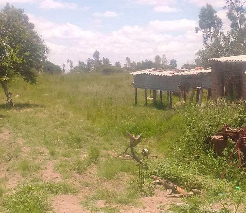 Farm for Sale in Chivhu