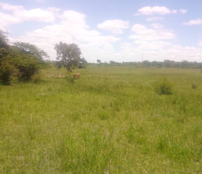 Farm for Sale in Chivhu