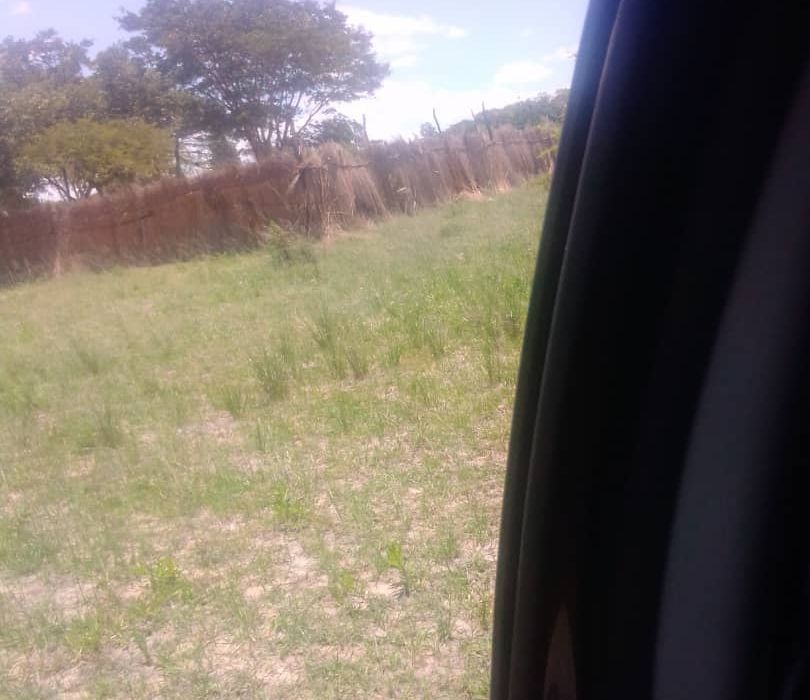 Farm for Sale in Chivhu