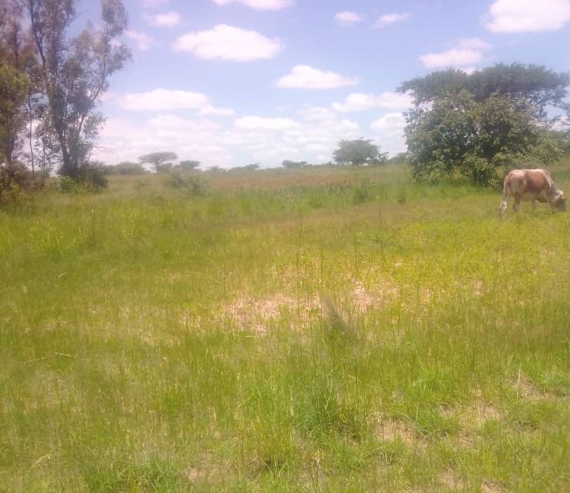 Farm for Sale in Chivhu