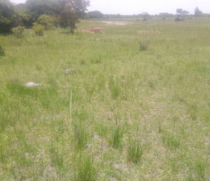 Farm for Sale in Chivhu