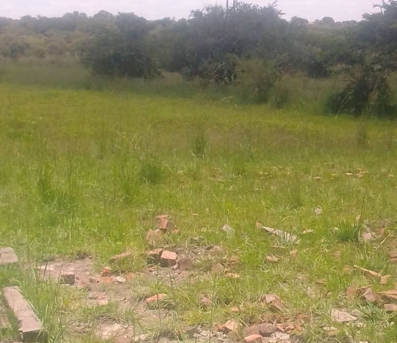 Farm for Sale in Chivhu
