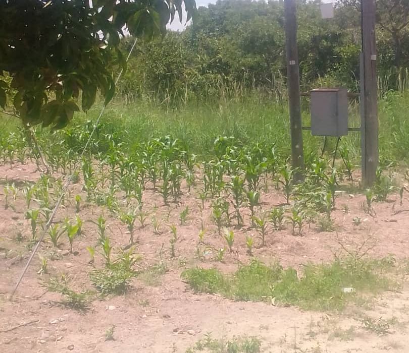 Farm for Sale in Chivhu