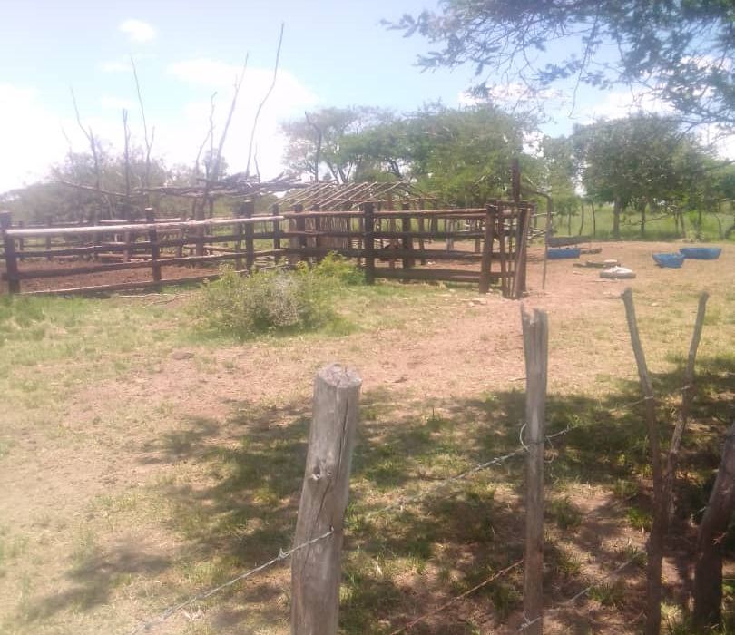 Farm for Sale in Chivhu