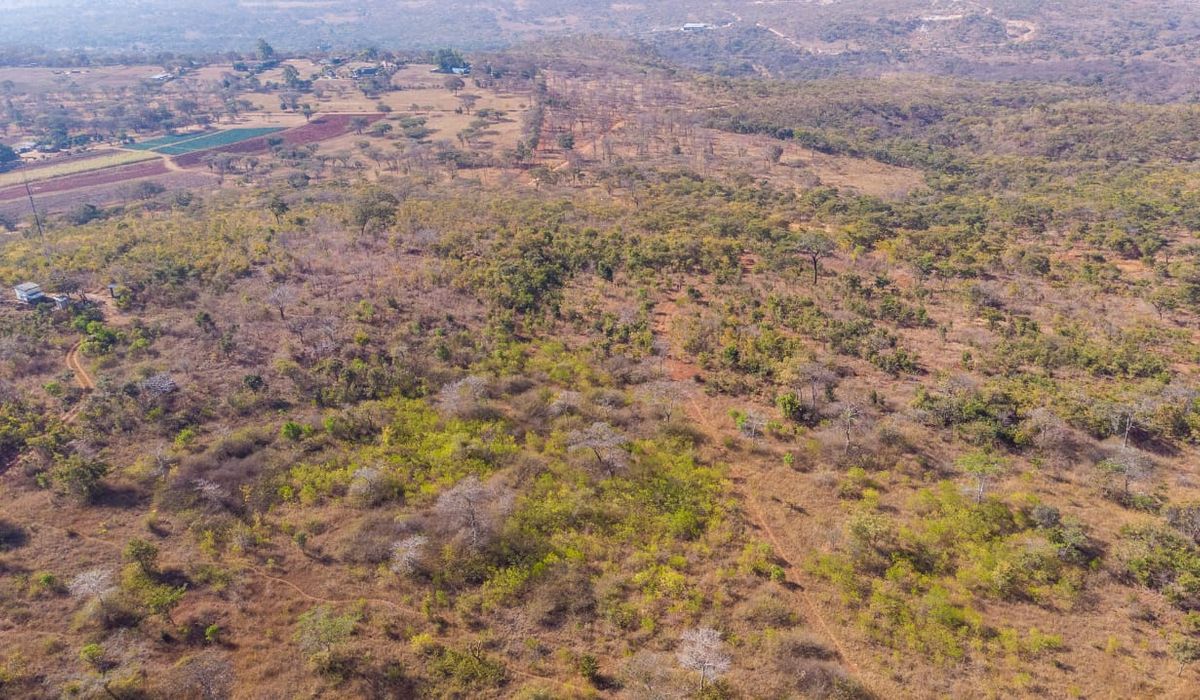 Farm for sale in Glenforest
