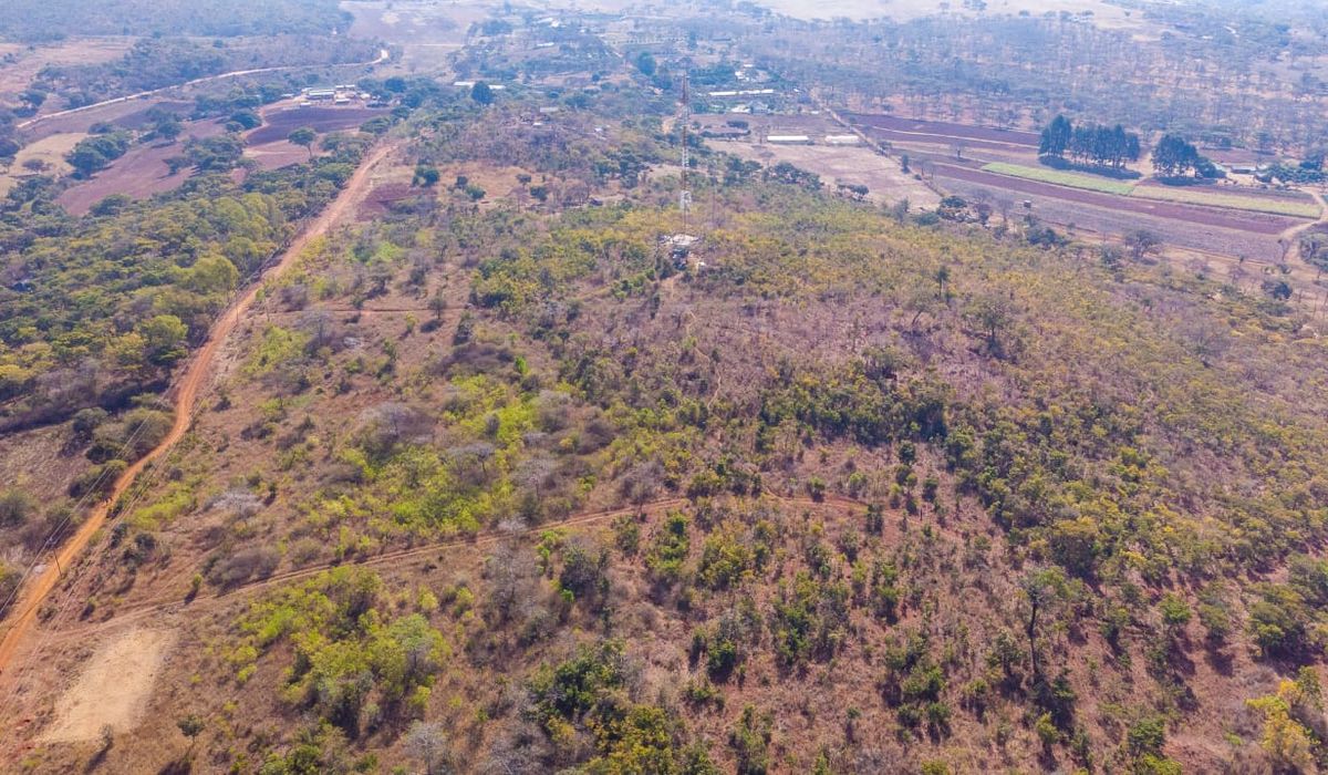 Farm for sale in Glenforest