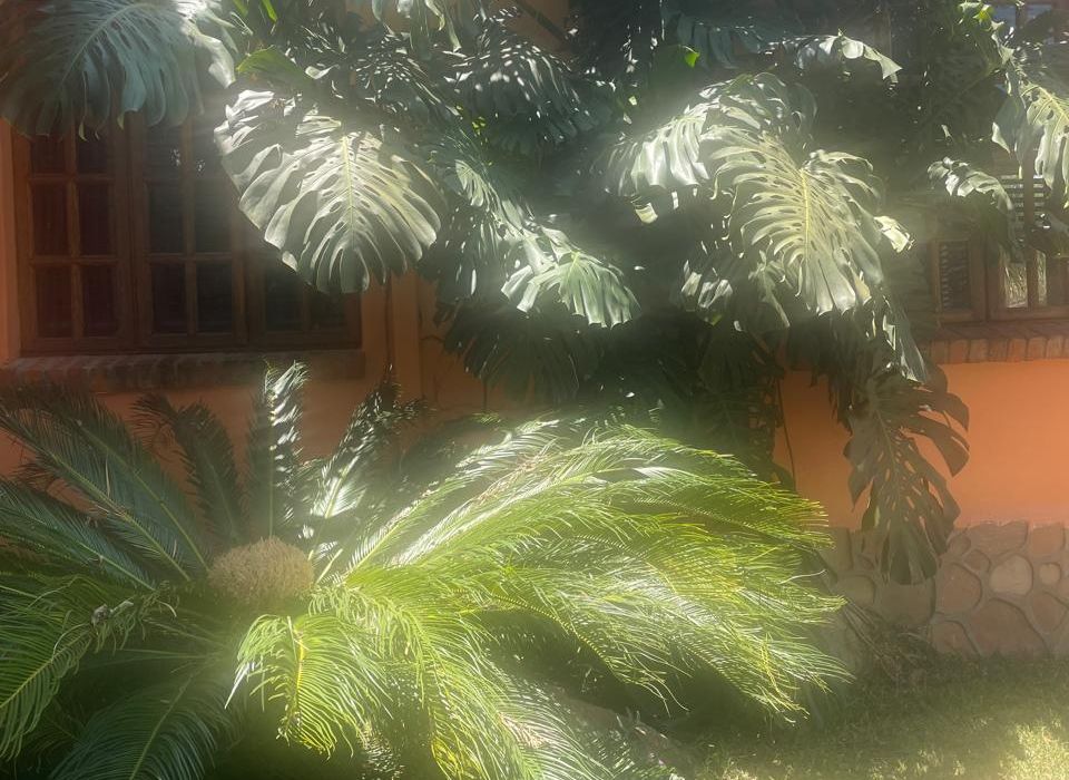 Farm Land featuring 5 bedroom House for Sale in Ruwa 
