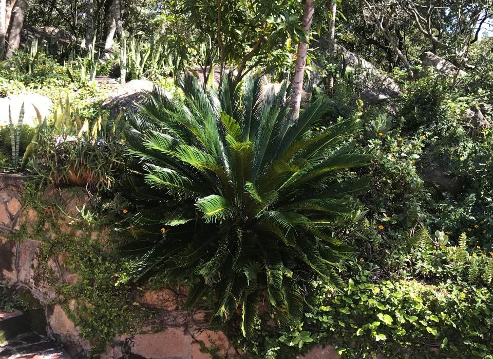 Farm Land featuring 5 bedroom House for Sale in Ruwa 