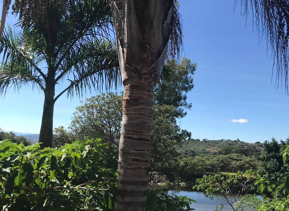 Farm Land featuring 5 bedroom House for Sale in Ruwa 