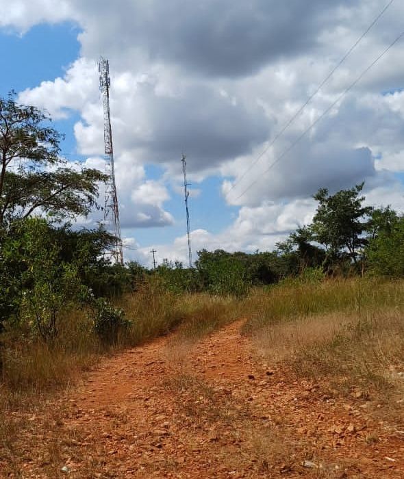Glenforest Vacant Stand 2.24ha