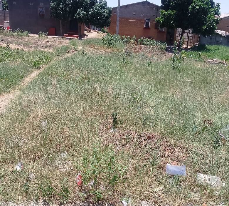 Ivory Park Stand for Sale