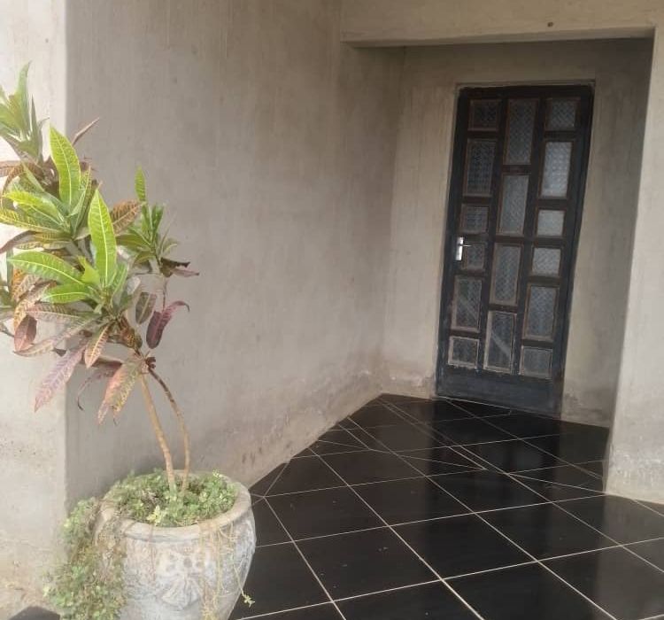 Kadoma Mushumavale stand for sale 