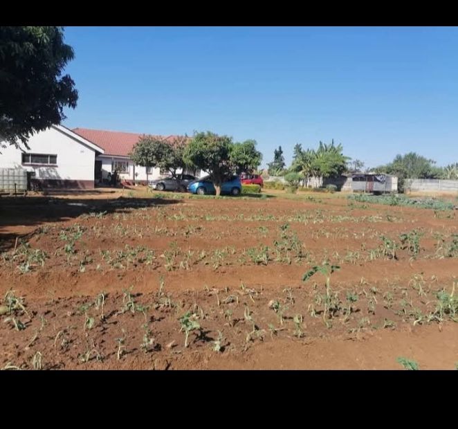 KNOWE NORTON HOUSE FOR SALE, PHASE 2