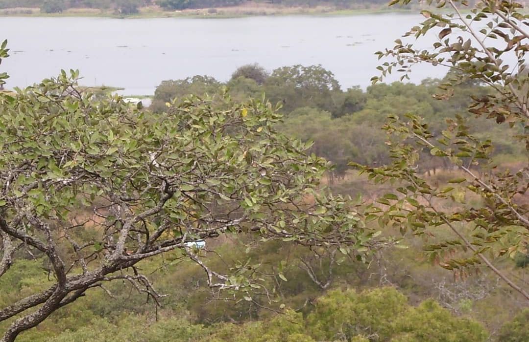 LAKE CHIVERO SUBLIME BAY 
