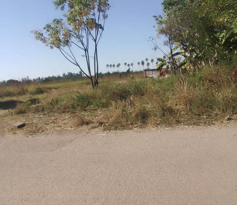 Land for Sale - Marlborough