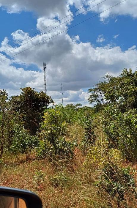 Land for Sale in Glen Florest 