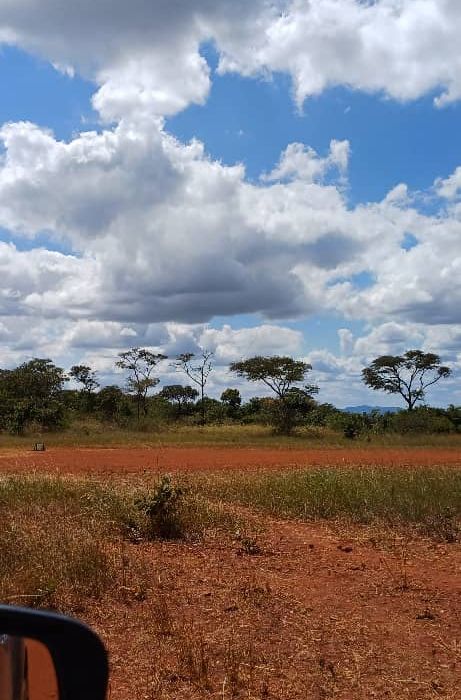 Land for Sale in Glen Florest 