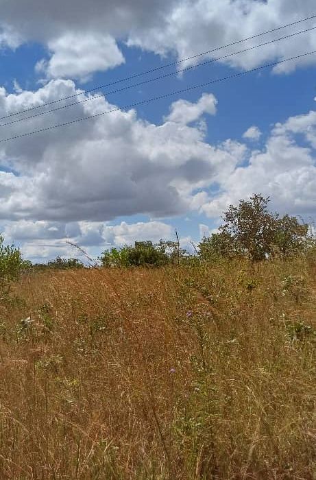 Land for Sale in Glen Florest 